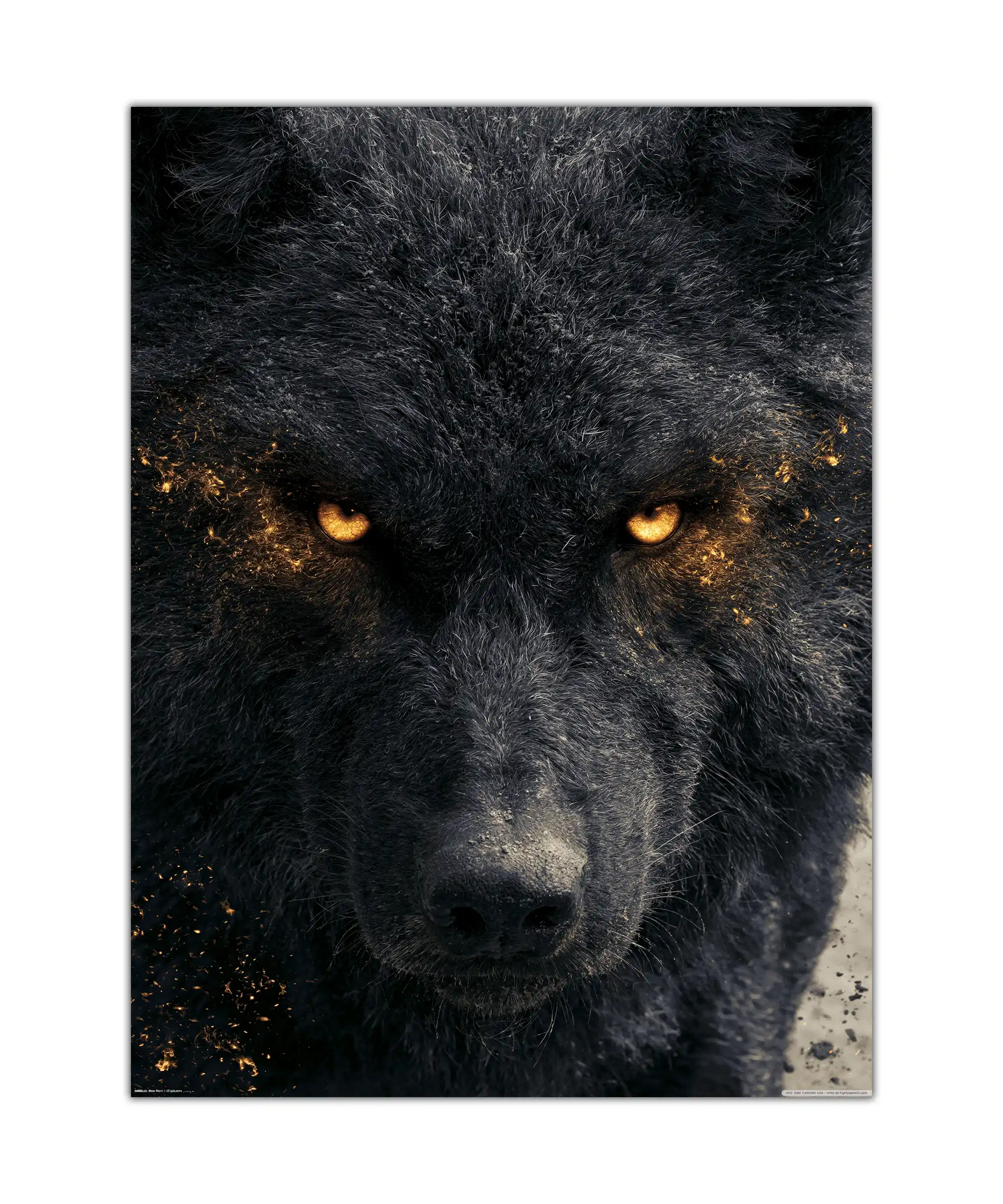 Midnight Wolf Poster 1 painting Black wolf poster with glowing amber eyes in a dramatic close-up portrait